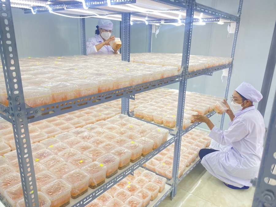 NÔNG TRẠI THIÊN ĐƯỜNG