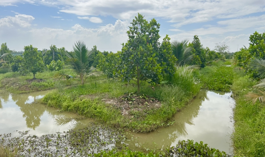 NÔNG TRẠI GIA VY FARM