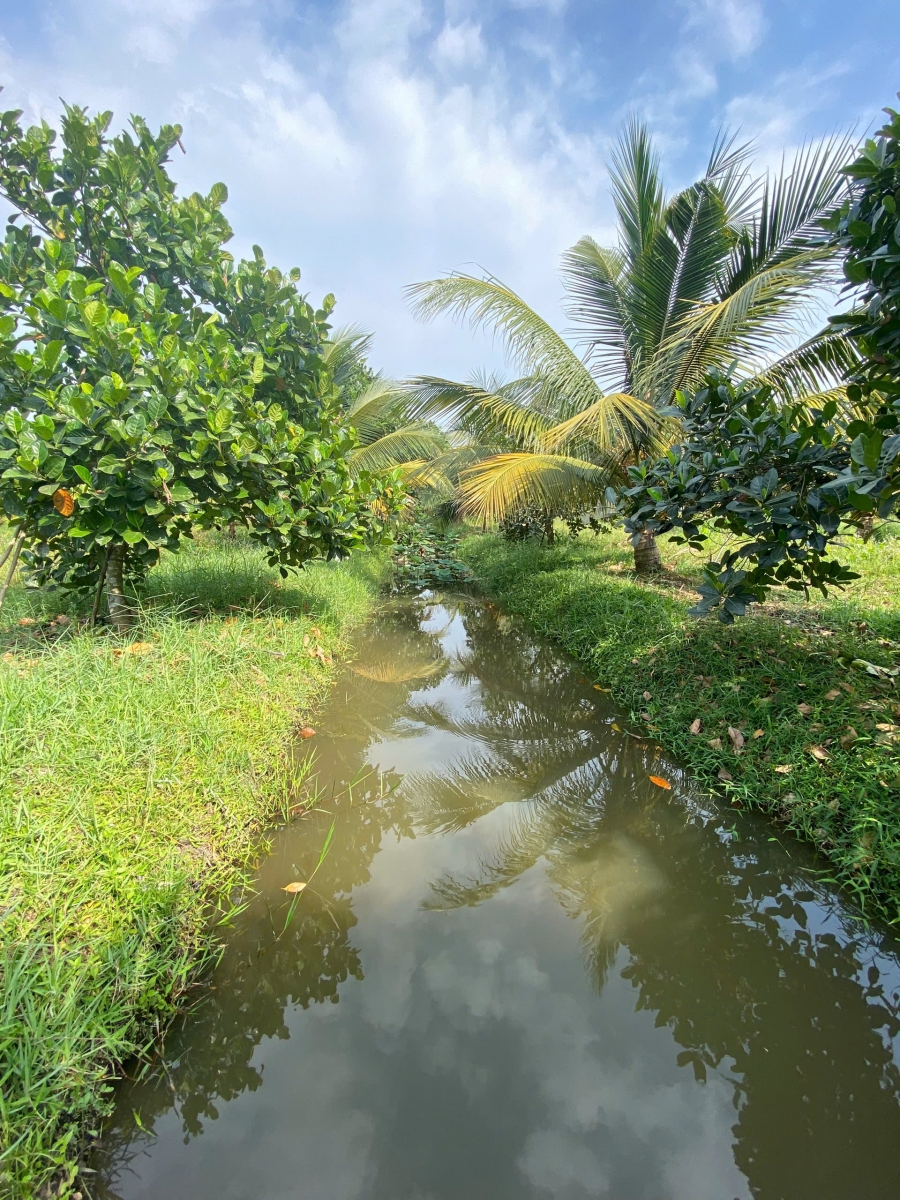 NÔNG TRẠI GIA VY FARM