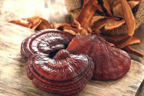 Nấm linh chi Hoàng Gia