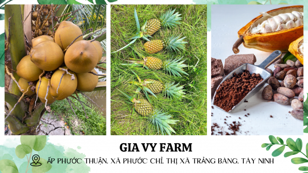 NÔNG TRẠI GIA VY FARM