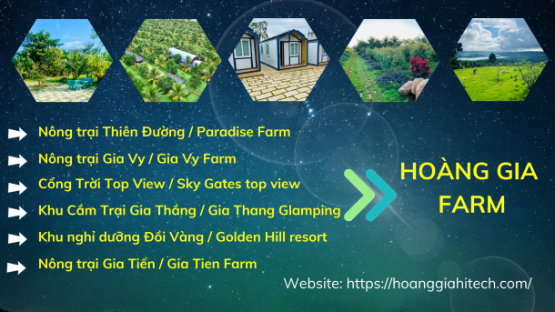 Giới thiệu chung